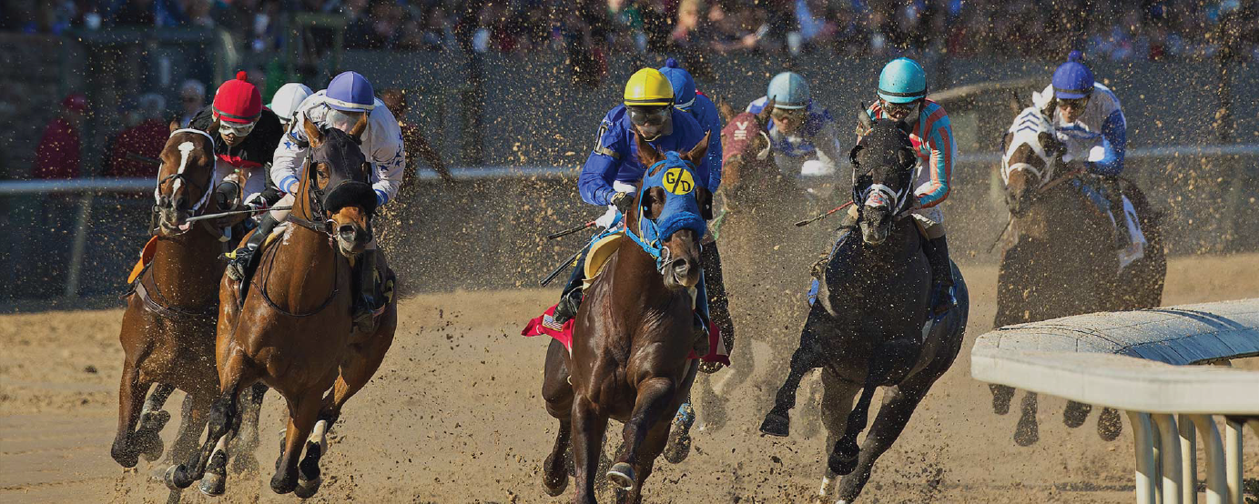 Horse race