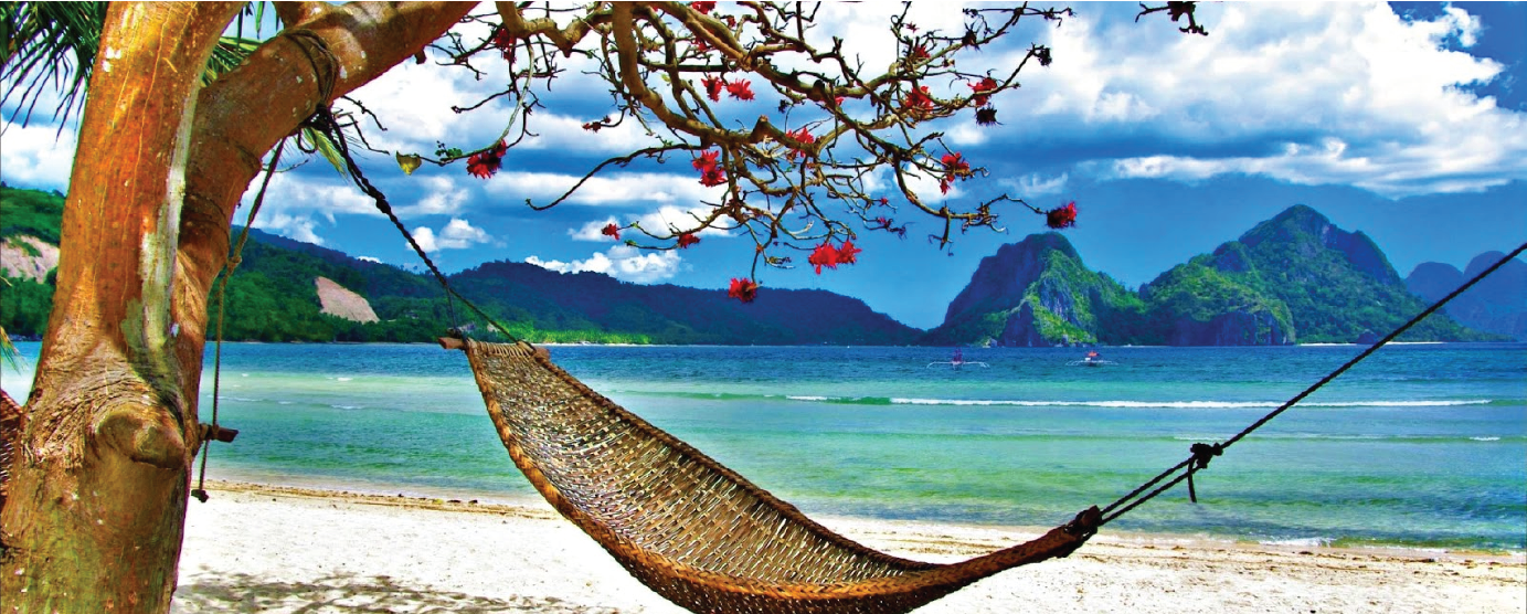 close up view of hammock swaying between palm trees overlooking ocean