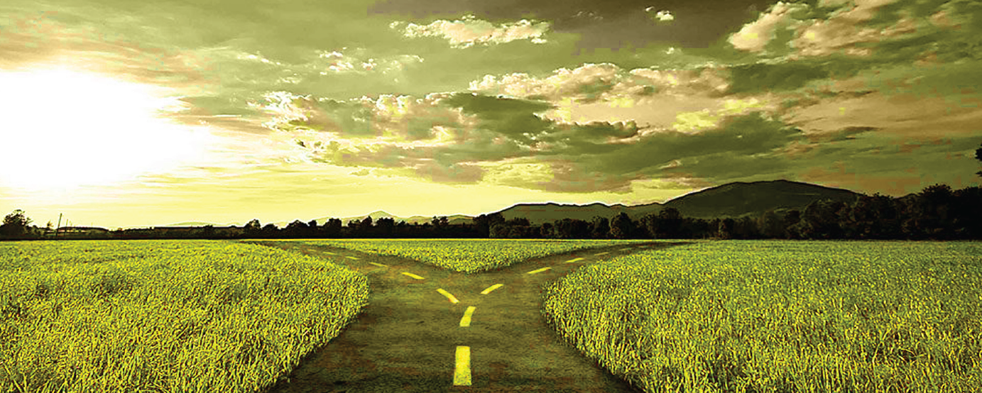 Road split leading in two different directions