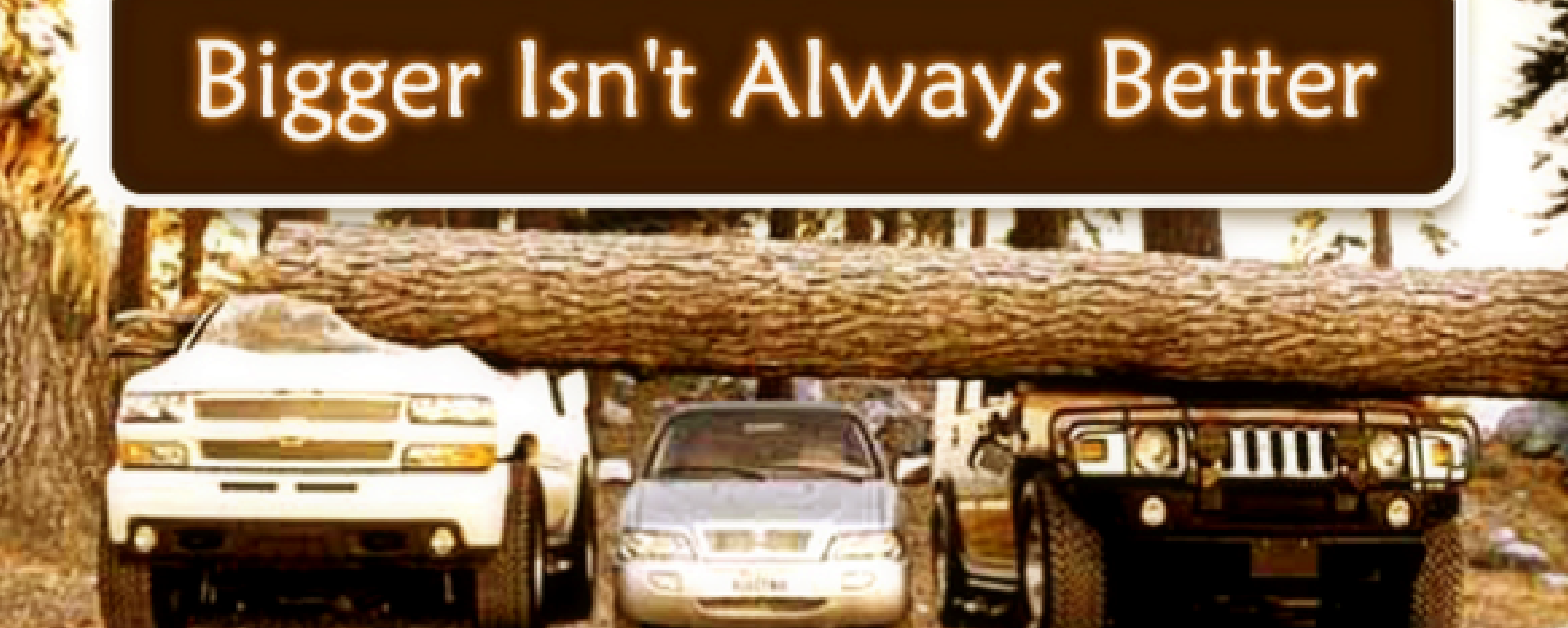 Bigger Isn't Always Better
