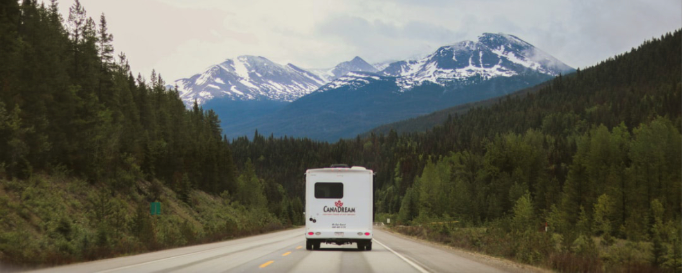 RV driving through tree lined road