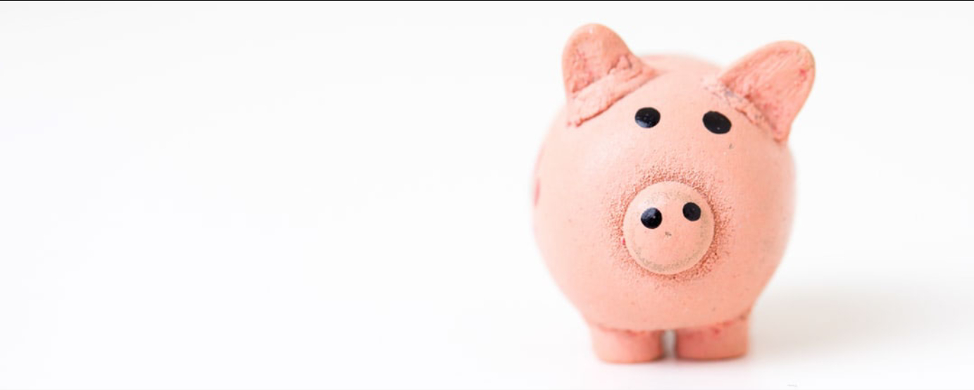 pink piggy bank